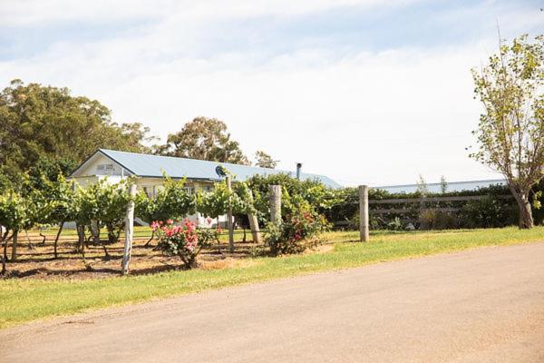 Gasthaus Audrey Wilkinson Vineyard Pokolbin Exterior foto