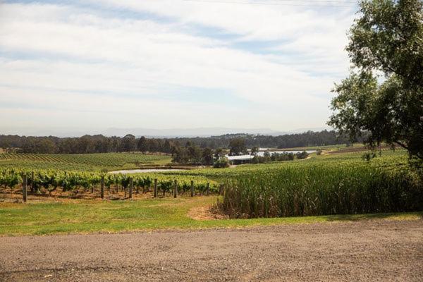 Gasthaus Audrey Wilkinson Vineyard Pokolbin Exterior foto