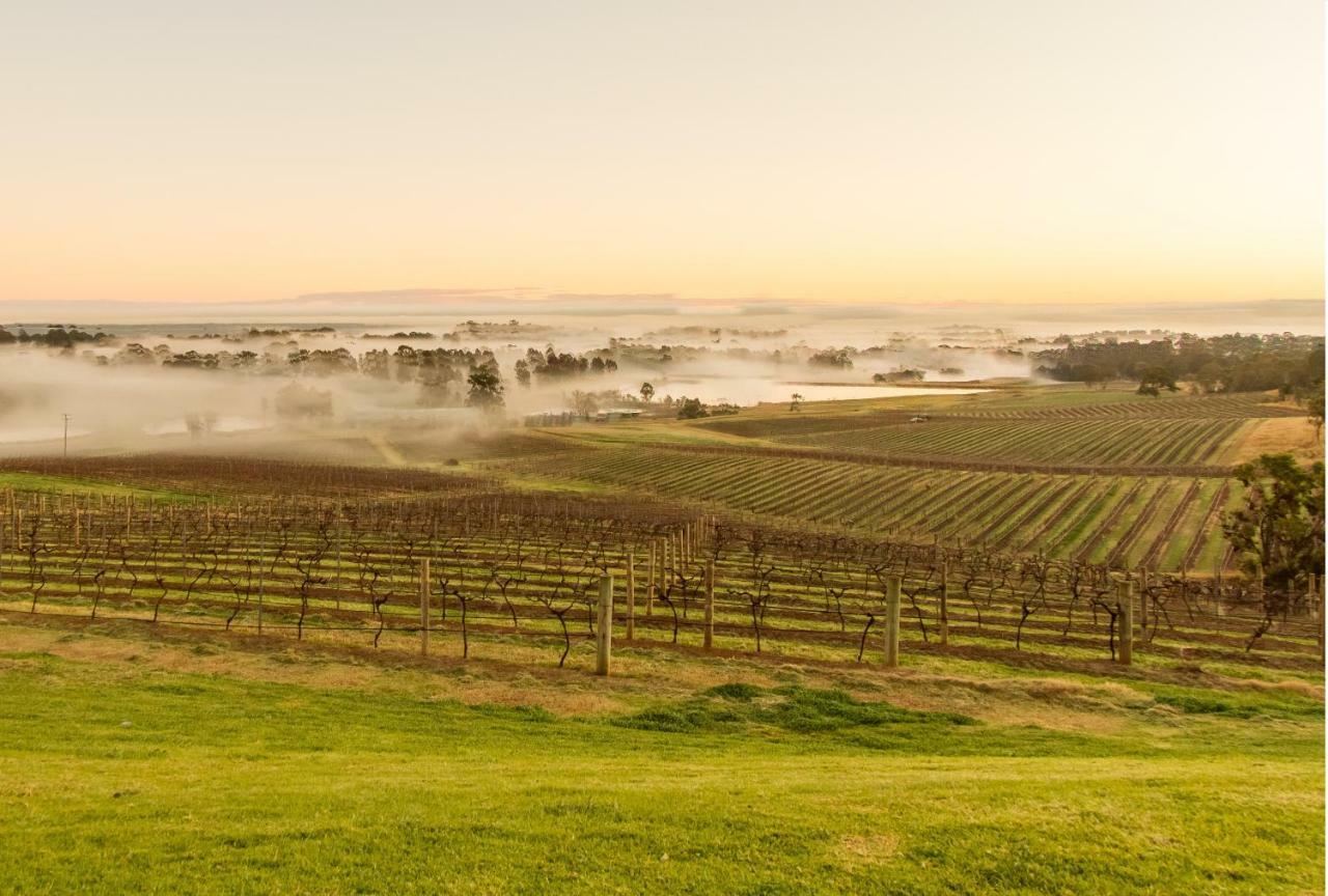 Gasthaus Audrey Wilkinson Vineyard Pokolbin Exterior foto